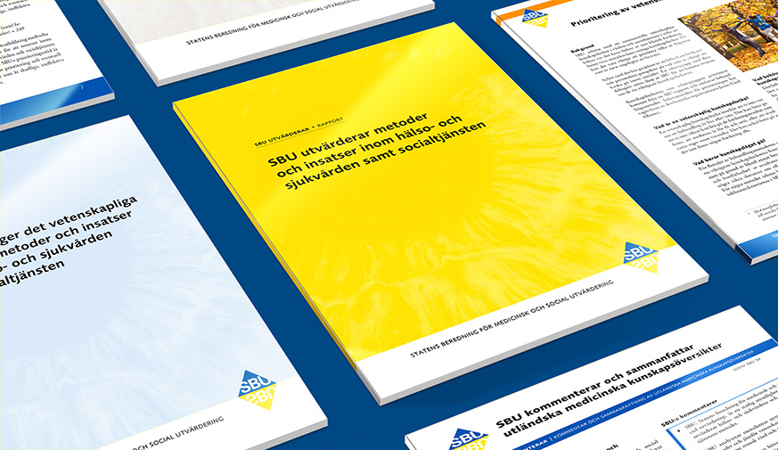 SBU's publication types