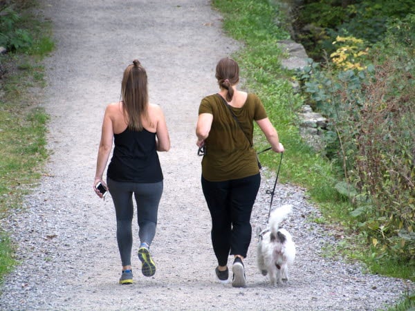 Två kvinnor som är ute och går med en hund.