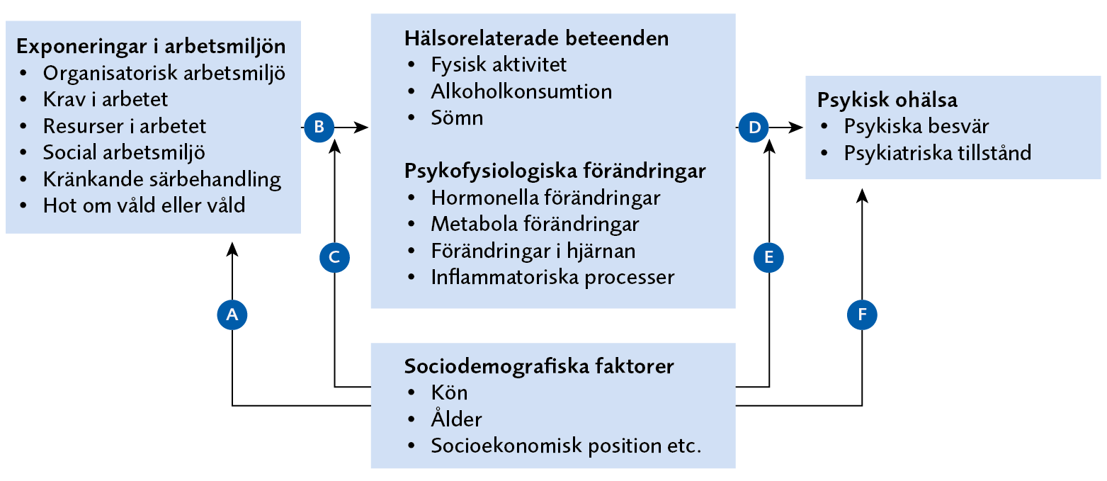 Figuren beskriver sambandet mellan exponeringar i arbetsmilj&ouml;n och psykisk oh&auml;lsa, och hur detta p&aring;verkas av h&auml;lsorelaterade beteenden, psykofysiologiska f&ouml;r&auml;ndringar och sociodemografiska faktorer