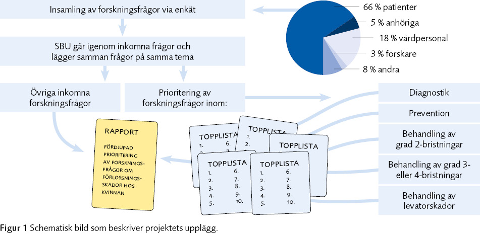 Figur 1 Schematisk bild som beskriver projektets upplägg.