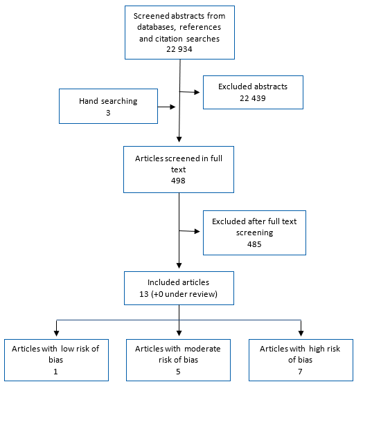 Study flowchart 22 934 records identified through database searches. After screening, we have included 6 studies with low or moderate risk for bias and 7 studies with high risk of bias.