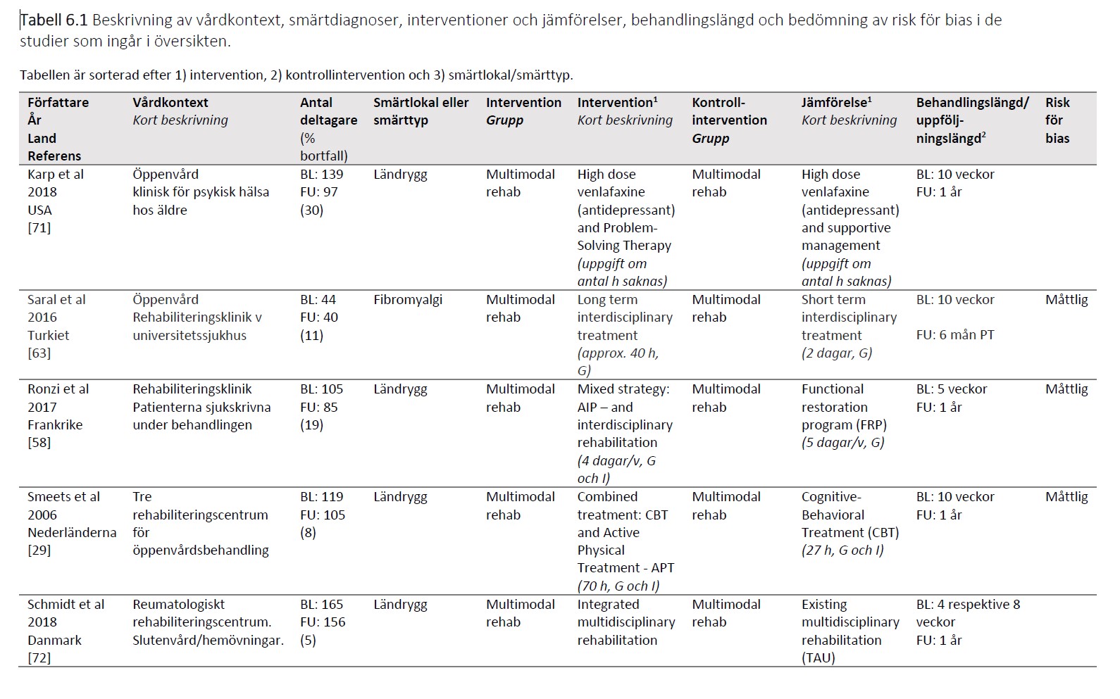 Skärmklipp av tabell 6.1 beskrivning av vårdkontext, smärtdiagnoser, interventioner med mera