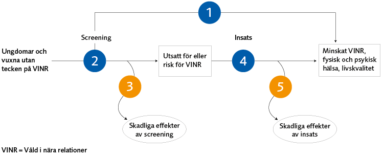 Granskade översikten som behandlar fem fråge­ställningar