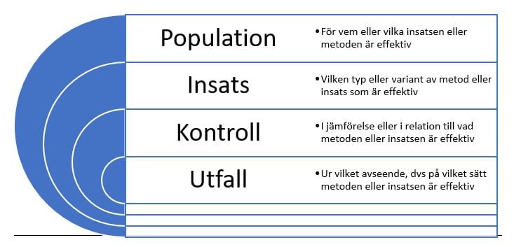 bild1.JPG