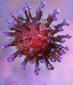 3D-bild av virus