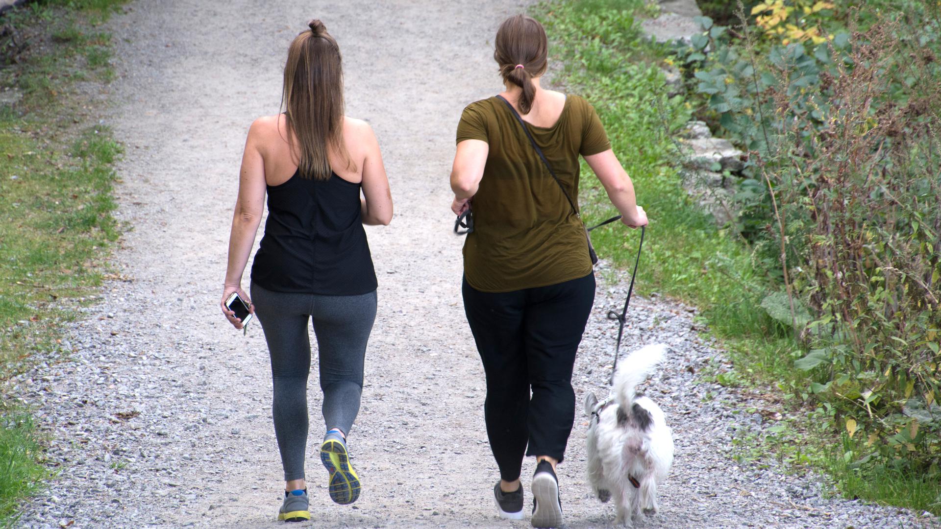 Två kvinnor som är ute och går med en hund.