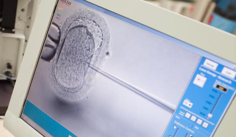 IVF-behandling