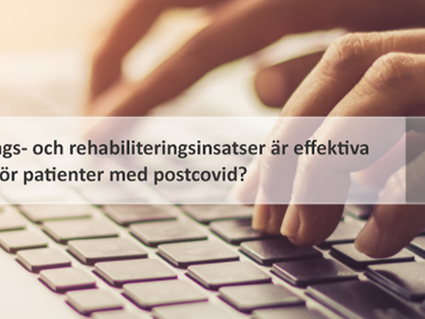 Hand som skriver på laptop med sökruta