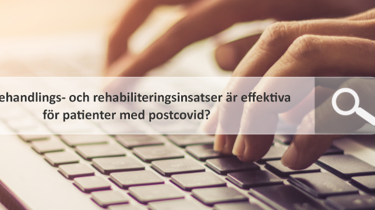 Hand som skriver på laptop med sökruta