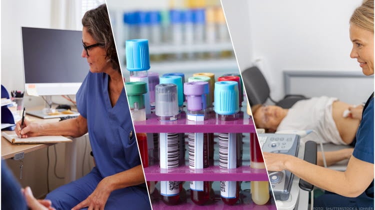Tredelad bild med en läkare som sitter i samtal med en patient, blodprovsrör samt barnmorska som använder ultraljud på en gravid kvinna.
